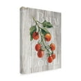 thumbnail image 2 of Trademark Fine Art 'Market Vegetables IV on Wood' Canvas Art by Silvia Vassileva, 2 of 3