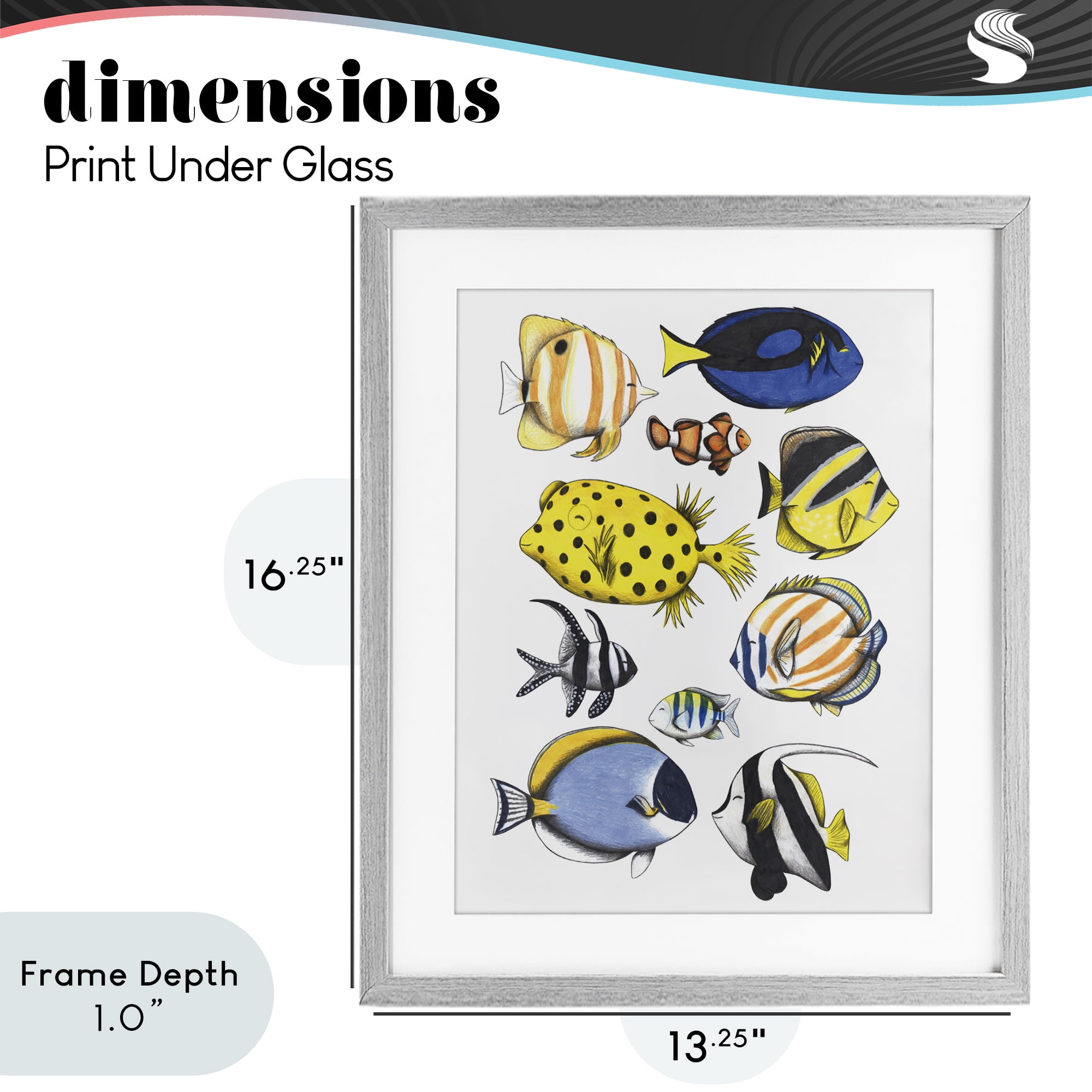 Stupell Industries Aquatic Fishes Collection Gray Framed Print Under Glass, design by Cecilia Battaini