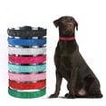 thumbnail image 3 of Vibrant Pet Collar - High Stability and Decorating - Bright Colors - Collars for Small Dogs and Kittens, 3 of 8