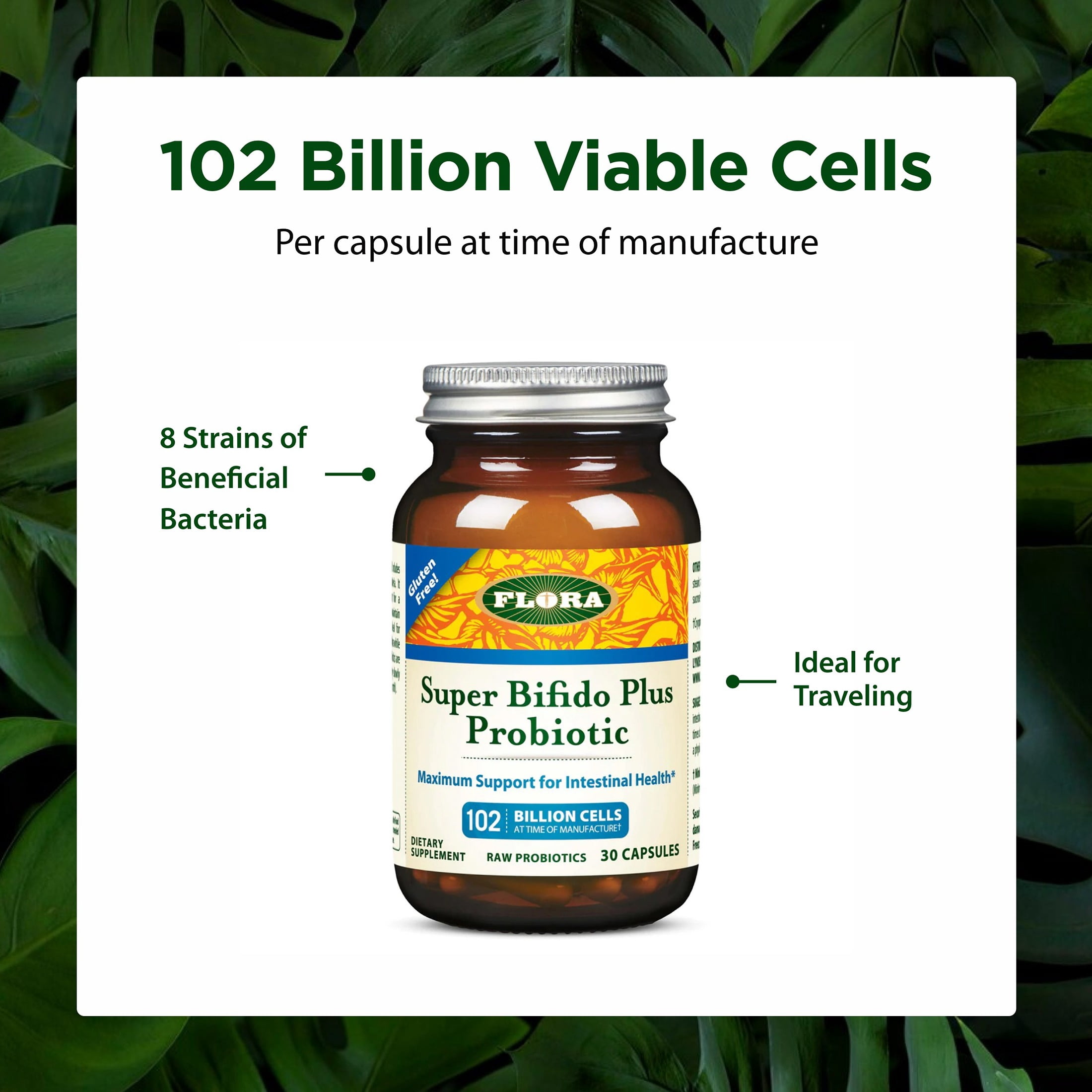 英麻呂【トロピフローラ】 T. bulbosa f. alba Flora Plus Probiotics - 60 Capsules – Akasha Naturals