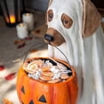 thumbnail image 5 of Ghost Dog Candy Bowl Holder, Halloween Dog Candy Bowl, Halloween Dog Candy Holder, Outdoor Halloween Candy Bowl, Halloween Candy Bowl Large Pumpkin Candy Dish-Dog, 5 of 5