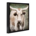 thumbnail image 3 of Stupell Industries Farmhouse Rustic Longhorn Cattle Black Floating Frame Canvas Art, 18 x 18, by Rhonda Addison, 3 of 8