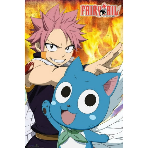 Fairy Tail - Manga / Anime TV Show Poster (Natsu & Happy) (Size: 24" x 36")