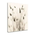 thumbnail image 2 of "Italian Tall Grass No. 1" By Alan Blaustein, Fine Art Giclee Print on Gallery Wrap Canvas, Ready to Hang, 2 of 2