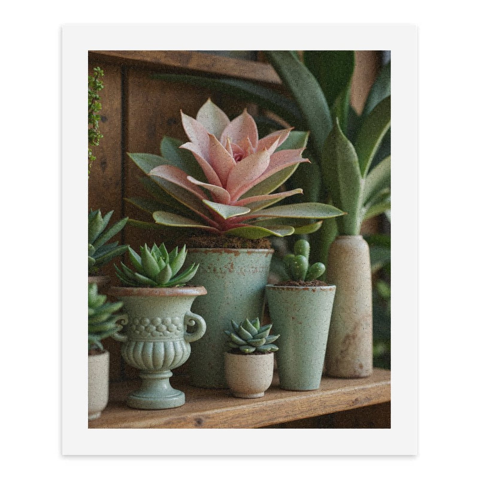 Paint by Numbers Kit for Adults, Succulents In Green Ceramic Pots Paint by Numbers, Easy Paint by Numbers Kit for Adults Beginner, DIY Adult Paint by Number Kits on Canvas, Home Decor