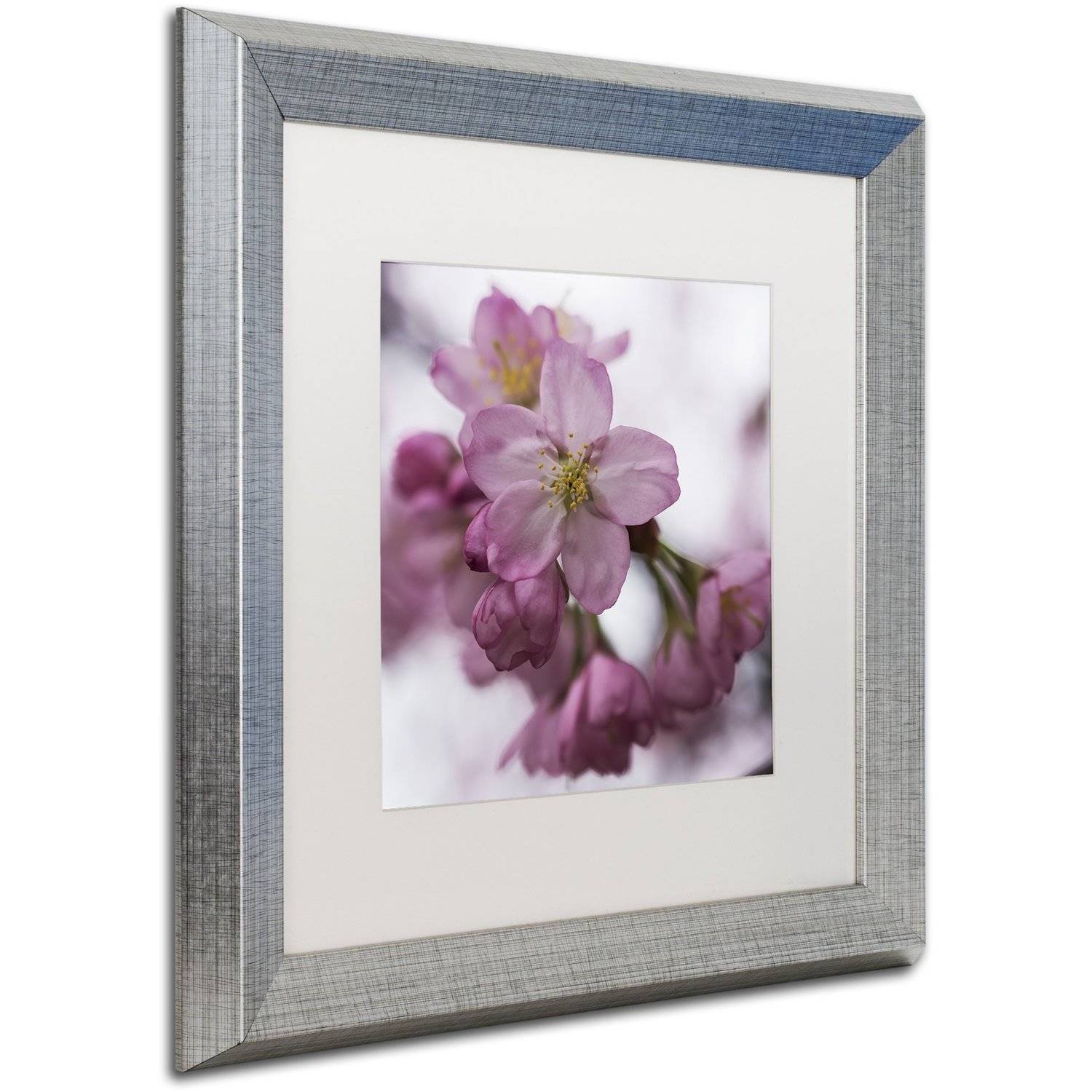 "Cherry Pink" Canvas Art by Kurt Shaffer, White Matte, Silver Frame