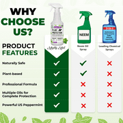 Mighty Mint Peppermint Oil Plant Protection Spray Insect & Pest Control for Gnats, Spider Mites & Aphids, 31 fl oz