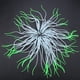 thumbnail image 2 of Decoración de anémona para acuario, simulación de anémona de silicona Artificial, tecnología de vanguardia, 2 of 8