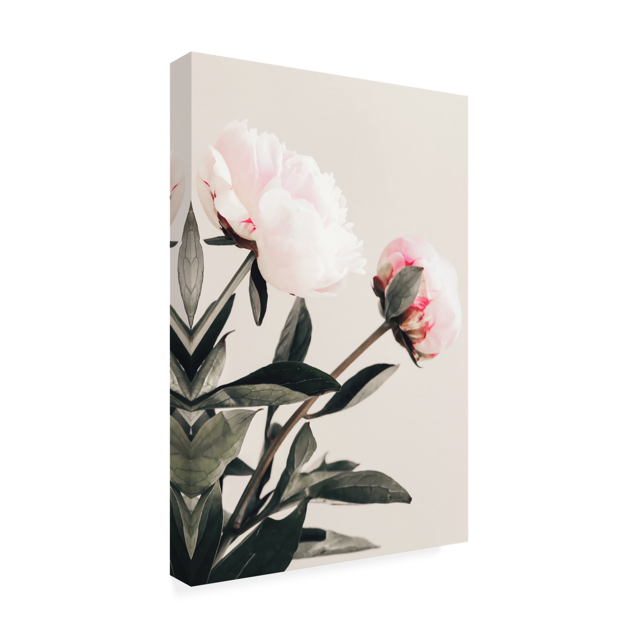 Trademark Fine Art Pictufy Studio III Peony 23 Canvas Wall Art