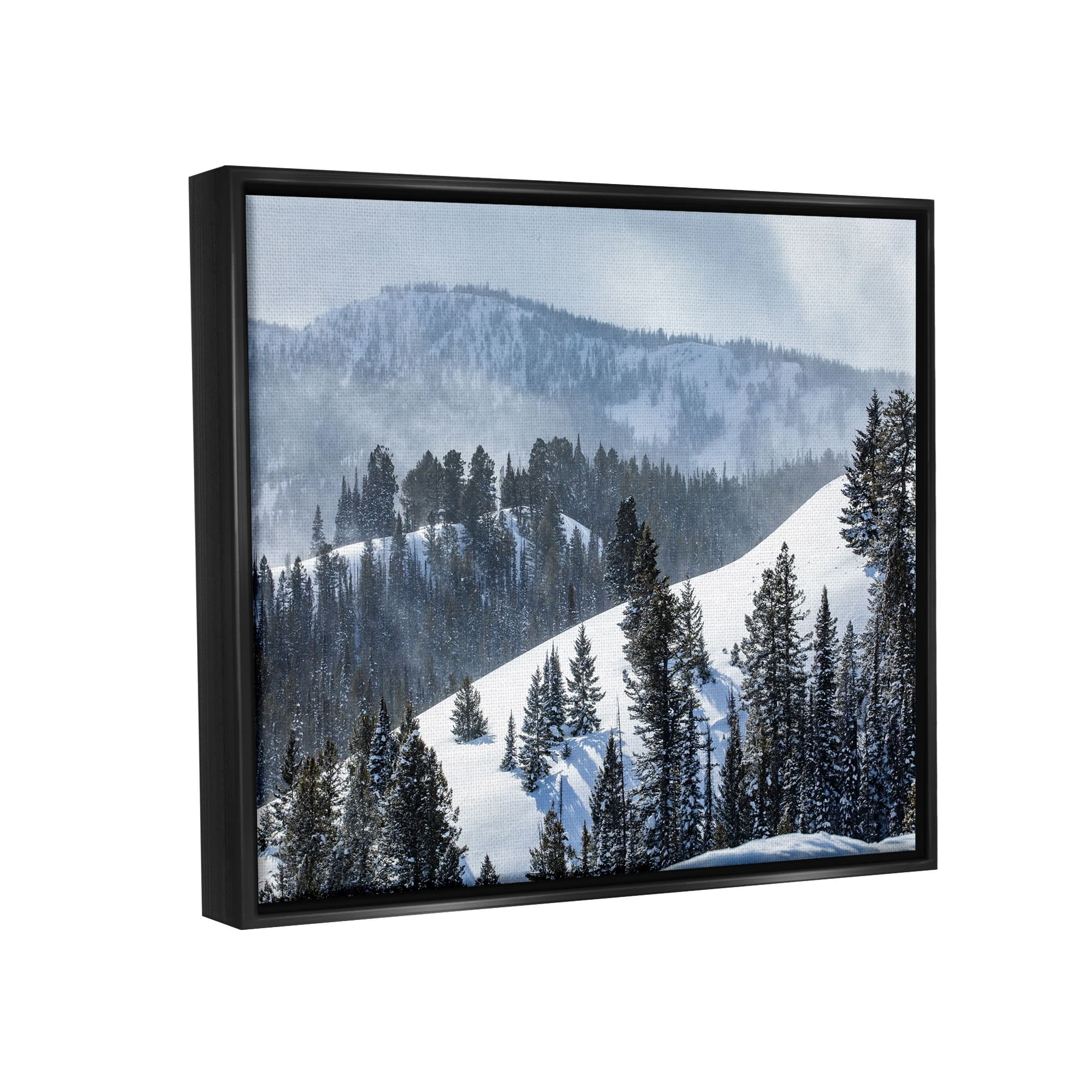 Stupell Industries Quiet Snowy Mountain Slopes Scattered Fir Trees Photograph Jet Black Floating Framed Canvas Print Wall Art, Design by Steve Smith