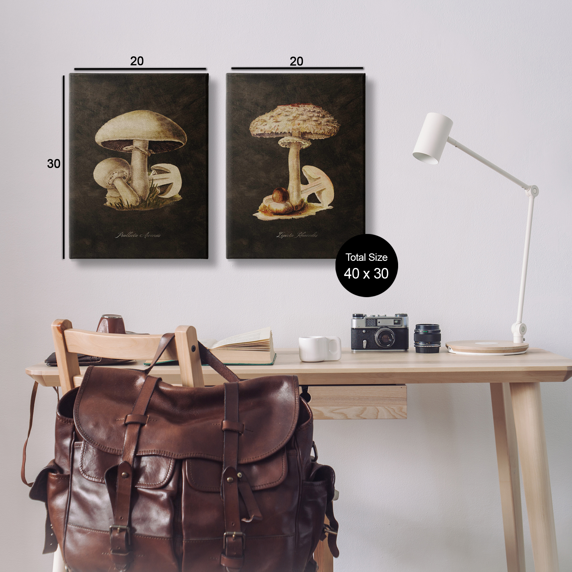 Stupell Industries Vintage Mushrooms on Black Plants & Flowers Painting Wrapped Canvas Art Print Wall Art, 20 x 30, Set of 2