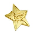 thumbnail image 2 of PinMart's 2027 Gold Star Pin, 2 of 4