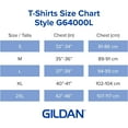 thumbnail image 5 of Gildan Women's Softstyle Cotton T-Shirt, Style G64000l, Multipack Small Black (2-pack), 5 of 6