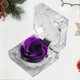thumbnail image 4 of 1Pcs Preserved Fresh Rose Flower in Glass Dome with Ribbon Decoration Rose Gift for Valentine's Day Anniversary Birthday (Purple), 4 of 4