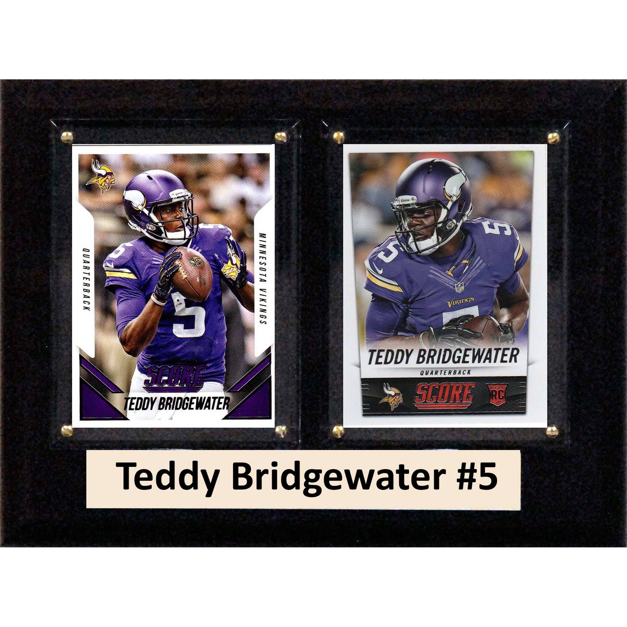 teddy bridgewater dog jersey