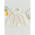 thumbnail image 2 of Bslissey Toddler Baby Girls Casual Princess Dress Ruffle Sleeveless Flower Embroidery Lace Tulle Dress 6M 12M 18M 24M 3T 4T Kids Sweet Summer A-line Dress for Daily Party, 2 of 8