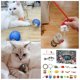 thumbnail image 5 of 2024 Unique Advents Calendars Stylish Holiday Countdown Present Box Pet Supplies, 5 of 5