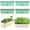 Beige, variant on Self Watering Rectangular Planter Box 16x4.4 Inch with Drainage Holes and Saucer, Large Indoor Window Sill Pot for Succulents Herbs Flowers, Light Grey