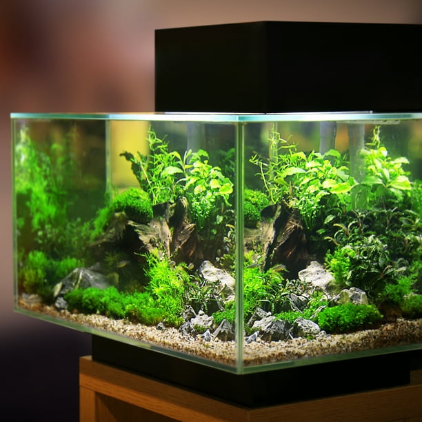 Aquarium backgrounds canada sales