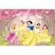 thumbnail image 1 of Disney Princess Dreamy Colorful Theme Backdrop, Baby Shower, Fondo de fotografía, decoración de fiesta de cumpleaños, pancarta, 1 of 4