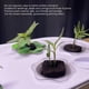 thumbnail image 3 of YARNOW 50 Paquetes de Bloques de Plántulas Convenientes y Rápidos Adecuados para Muchas Plantas Material de Turba Premium para Cultivo sin Suelo con Suelo Nutritivo ANGGREK  Otros, 3 of 8