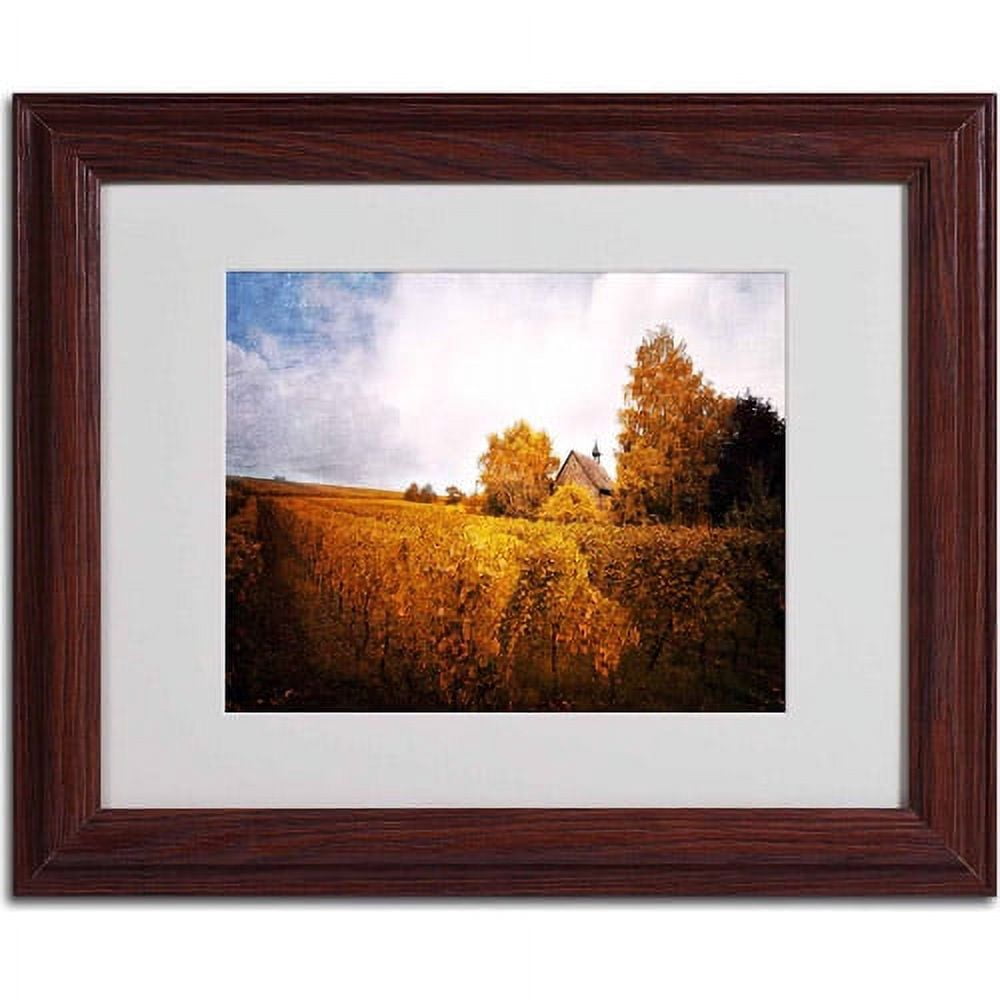 Trademark Fine Art "Light in Vineyards" Canvas Art by Philippe Sainte-Laudy, Wood Frame