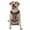 With Accessories, variant on Vsdgher Mountain Adventure Badges Pattern Dog Harness,No Pull Pet Harness with Soft Padded Handle,Adjustable Reflective Vest with 2 Buckles,4 Slide Buckles,S-XL