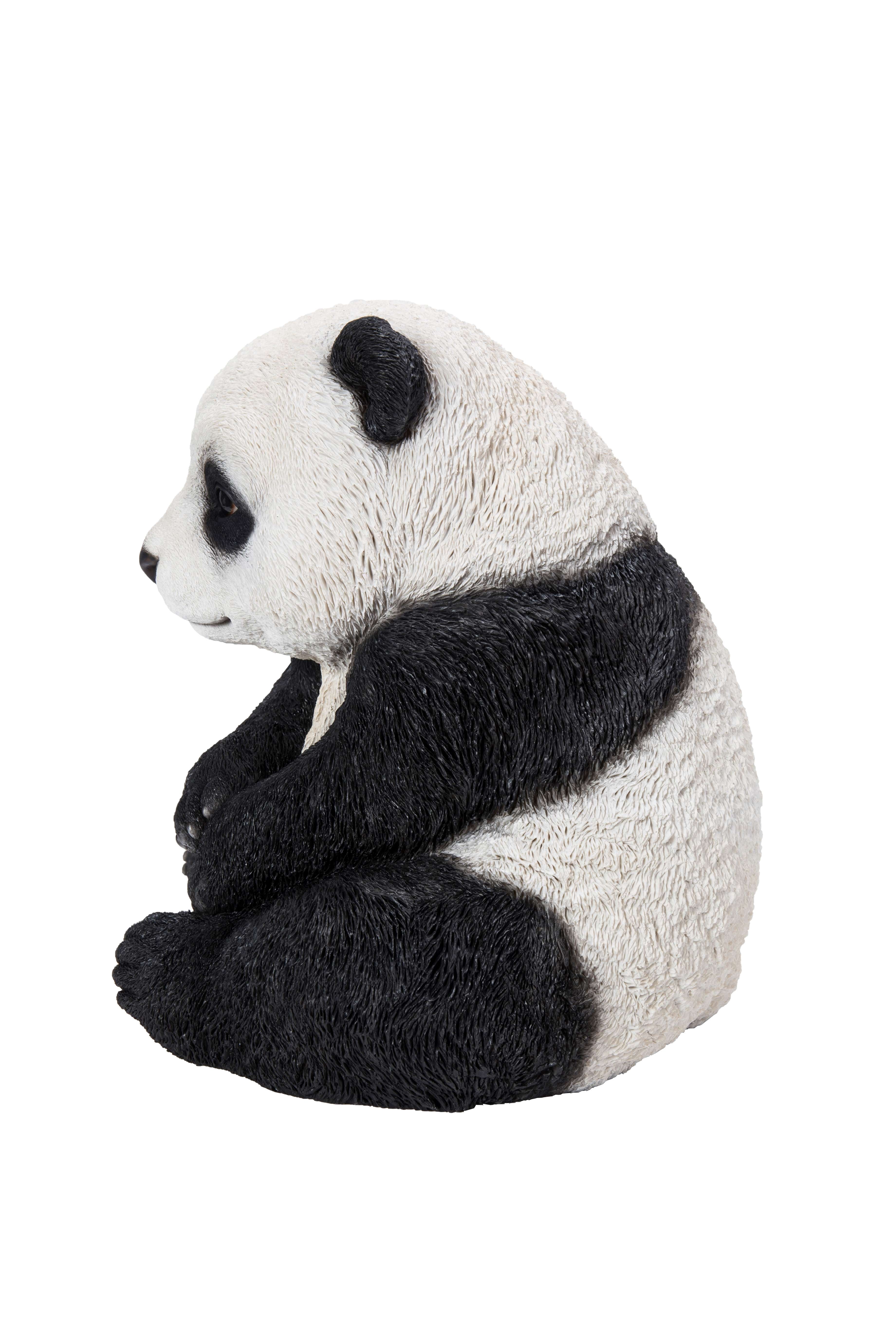 SMALL PANDA CUB SITTING