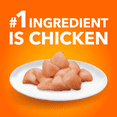 thumbnail image 4 of Iams Proactive Health Healthy Enjoyment Chicken & Salmon Adult Dry Cat Food 1.4kg, 4 of 15