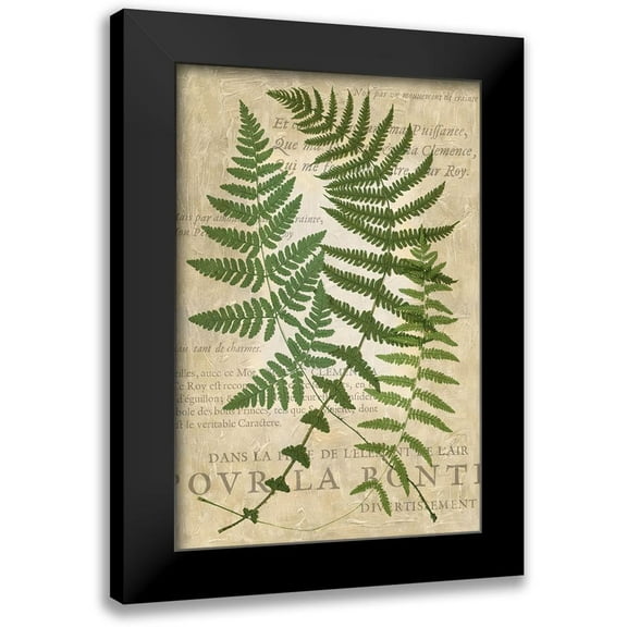 Vision Studio 11x14 Black Modern Framed Museum Art Print Titled - Fern Folio I
