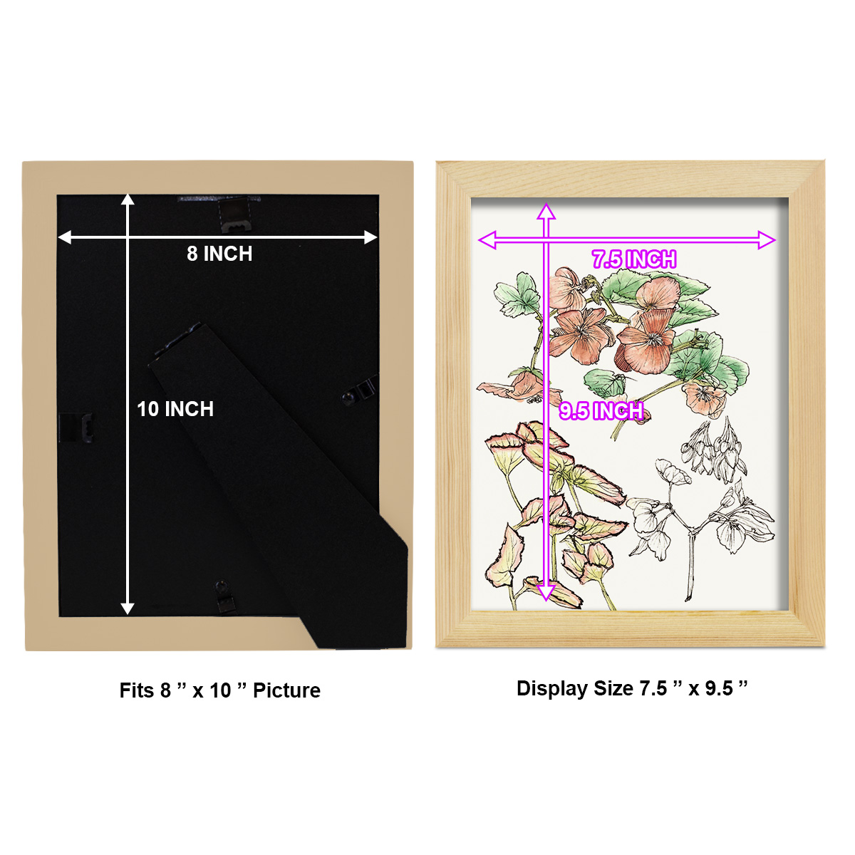 Begonia Study -Framed Print w/glass-Natural Wood