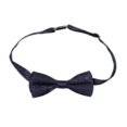 thumbnail image 3 of Nœud Papillon pour Enfants et Bretelles Élastiques Ajustables pour Garçons, 3 of 4