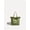 Green, variant on Women's Adult Canvas Fringed Tote Shoulder Bag, Green