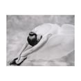 thumbnail image 3 of Tiptophomedecor Ballet Wallpaper Wall Mural - Ballerina Bow, 3 of 4
