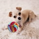 thumbnail image 5 of Pet Dog Sniff Toy Puppy Plaything Colorido Pet Dog Masticando juguete de comedero lento, 5 of 6