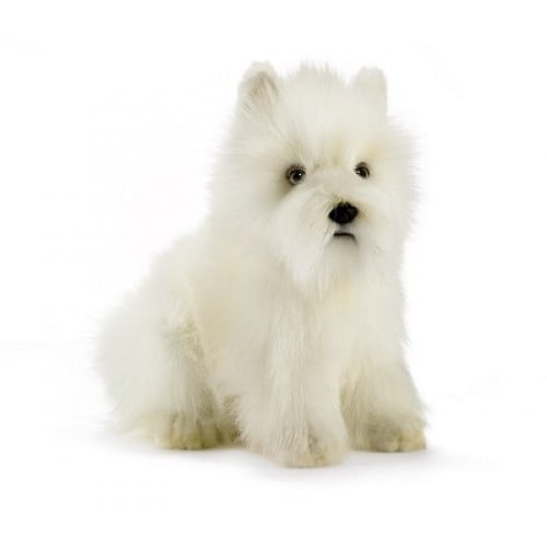 Hansa - Westie Highland Terrier dog, 10 Inches