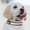 White, variant on Large Dog Light Collar Yellow Led Dog Collar Yellow LED safety collar, suitable for large dogs, supports USB and solar charging, night light reflection waterproof