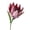 C, variant on bestolf Artificial King Protea Flowers Lifelike Tropical Floral Arrangements Faux Protea Cynaroide with Stem for Wedding Centerpiece Home Office Table Decor