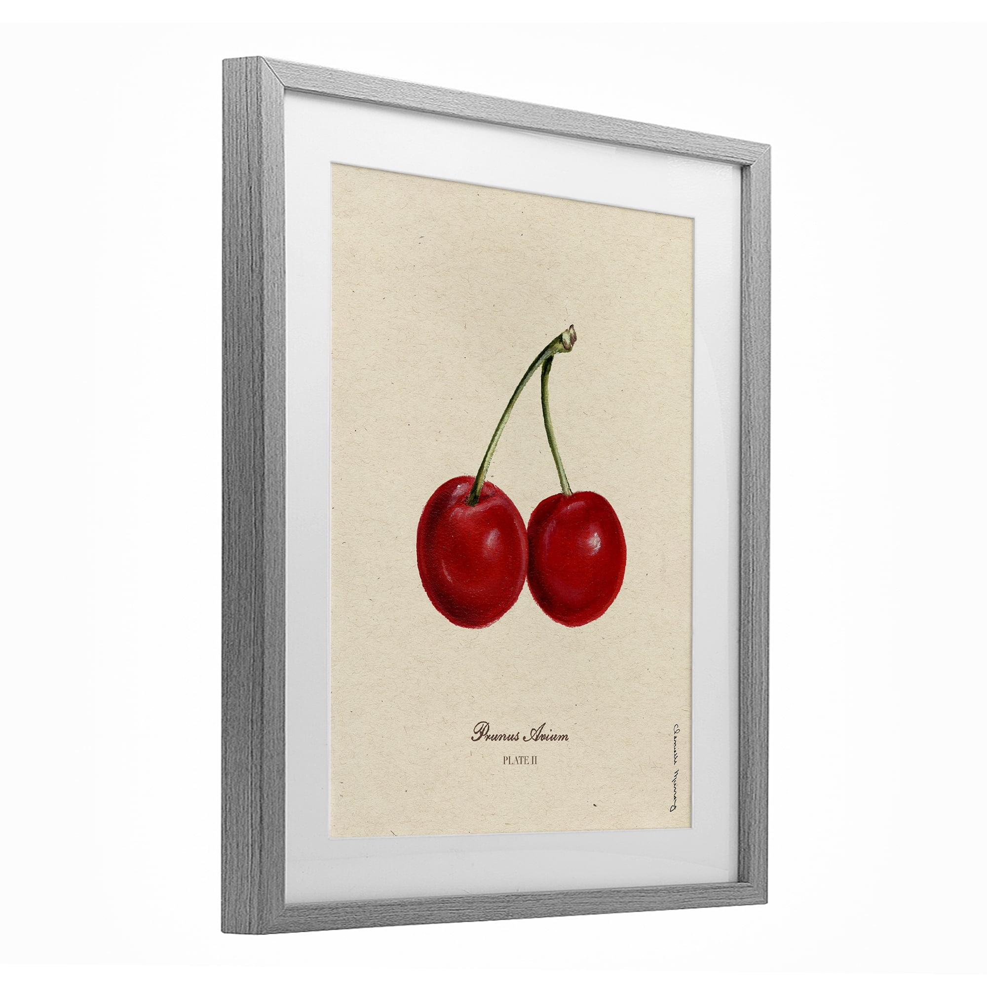 Stupell Industries Cherry Fruit Portrait Gray Framed Print Under Glass, design by Danielle Murray