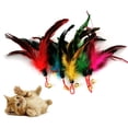 thumbnail image 1 of SPRING PARK Interactive Feather Head for Cat Wand Toy Kitten Toys Easy to Install Feather Head for Cat Teaser Stick Toys, 1 of 7