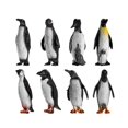 thumbnail image 3 of 16PCS Early Childhood Cognitive Toys Plastic Ocean Animal Penguin Figure Model Preschool Kids Toy(Mixed Pattern), 3 of 6