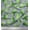 Coin Gray, variant on Soimoi Pink Rayon Fabric Cactus Tree Decor Fabric Printed Yard 56 Inch Wide