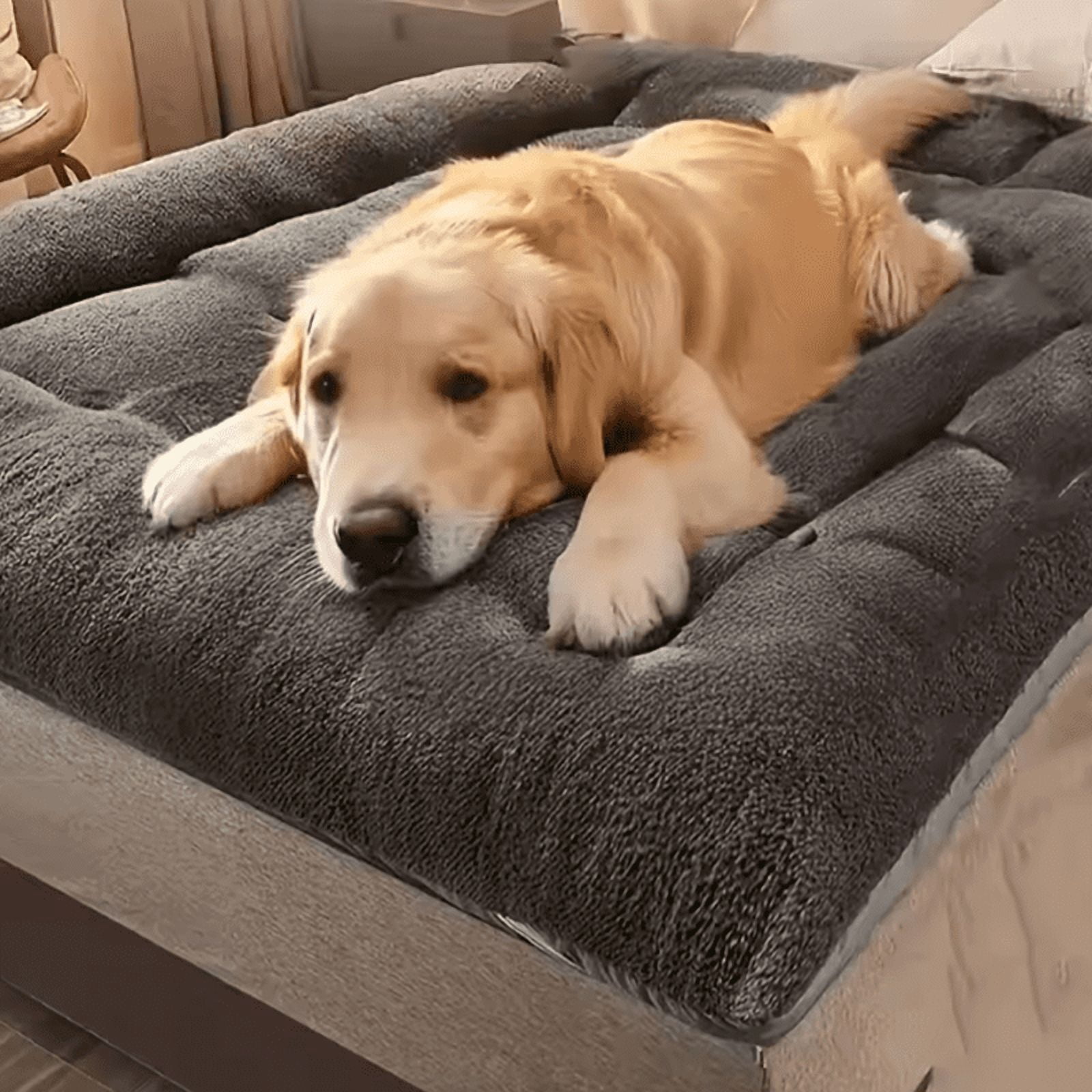 Hot Sale 120*60cm Extra Large Double Sided Dog Bed - Plush Super Soft Polyester Thickened Sofa-Style Mat for Large Breed Dogs