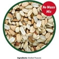 thumbnail image 3 of Lyric 2647464 Peanut Pieces Wild Bird Food, 5 lb, 3 of 9