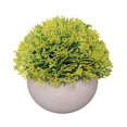 thumbnail image 1 of Bola de hierba artificial en maceta, simulación de hierba, decoración de plantas, decoración de la mesa de la oficina en casa, hierba tipo 4, amarillo Scienceny HA7593-09B, 1 of 6