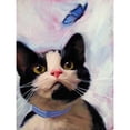 thumbnail image 2 of Cat and Butterfly Poster Print by Diane Hoeptner, 2 of 2