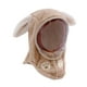 thumbnail image 2 of Gorro de invierno para niños, resistente al viento, con orejas de animales, pasamontañas, calentador de cuello, mascarilla facial Orejas de Conejo Caqui, 2 of 9