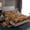 Brown 01, variant on Feelyou Pink Leopard Print Bed Sheets, Modern Fashion Polkadots King Sheets, Cheetah Wildlife Sheet Set, Breathable Home Decor, 4 Pieces