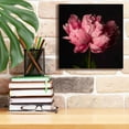 thumbnail image 6 of Epic Graffiti 'Perfect Peony' by Leah McLean Giclee Canvas Wall Art, 12"x12", 6 of 6