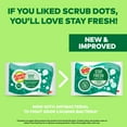 thumbnail image 3 of Scotch-Brite Heavy Duty Scrub Dots Scrub Sponge, 24 Count, 3 of 16